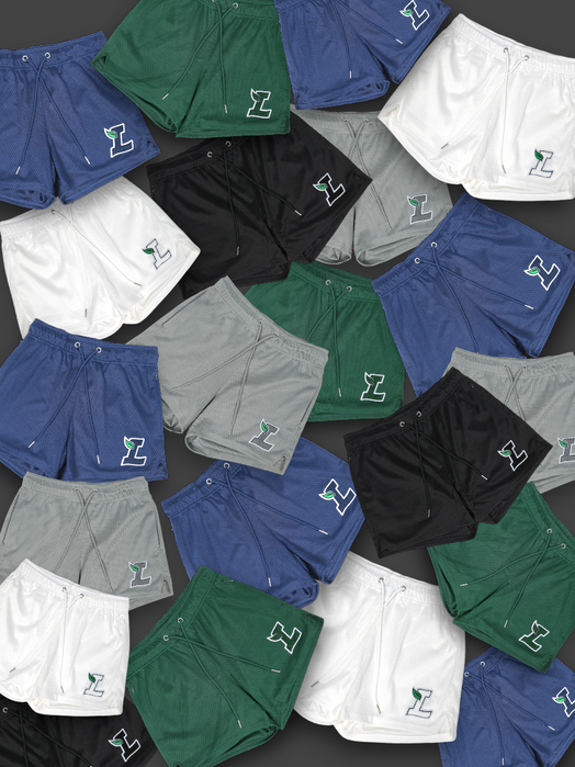 Core Mesh Gym Shorts