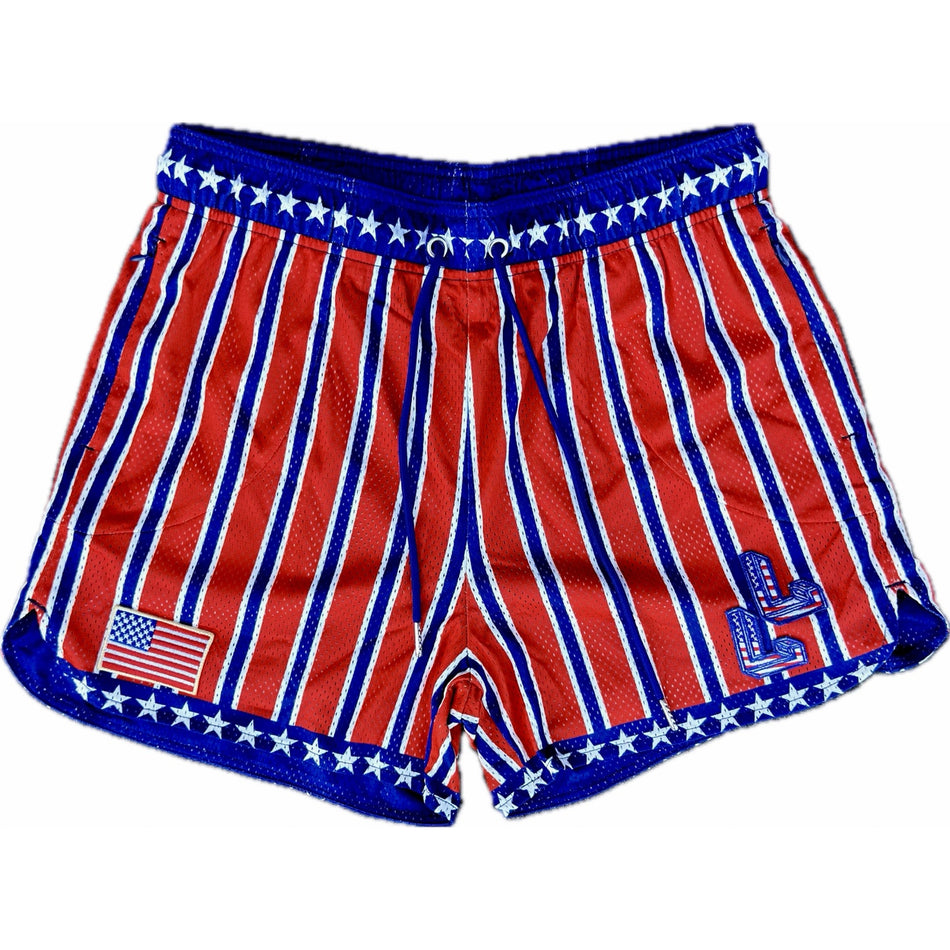 FIRECRACKER 4" Mesh Shorts