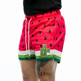Muscular athlete wearing Dead Ripe Watermelon mesh gym shorts for leg day training